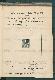 Calze in genere ed articoli di maglieria Soc. An. I.S.M.A. Industrie Seriche Maglierie Affini (09/07/1937)