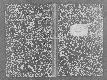 Archivio di stato di Fano - Stato civile della restaurazione - Fano - Nati, battesimi (maschi, elenco delle parrocchie) - 1859 - 114 -