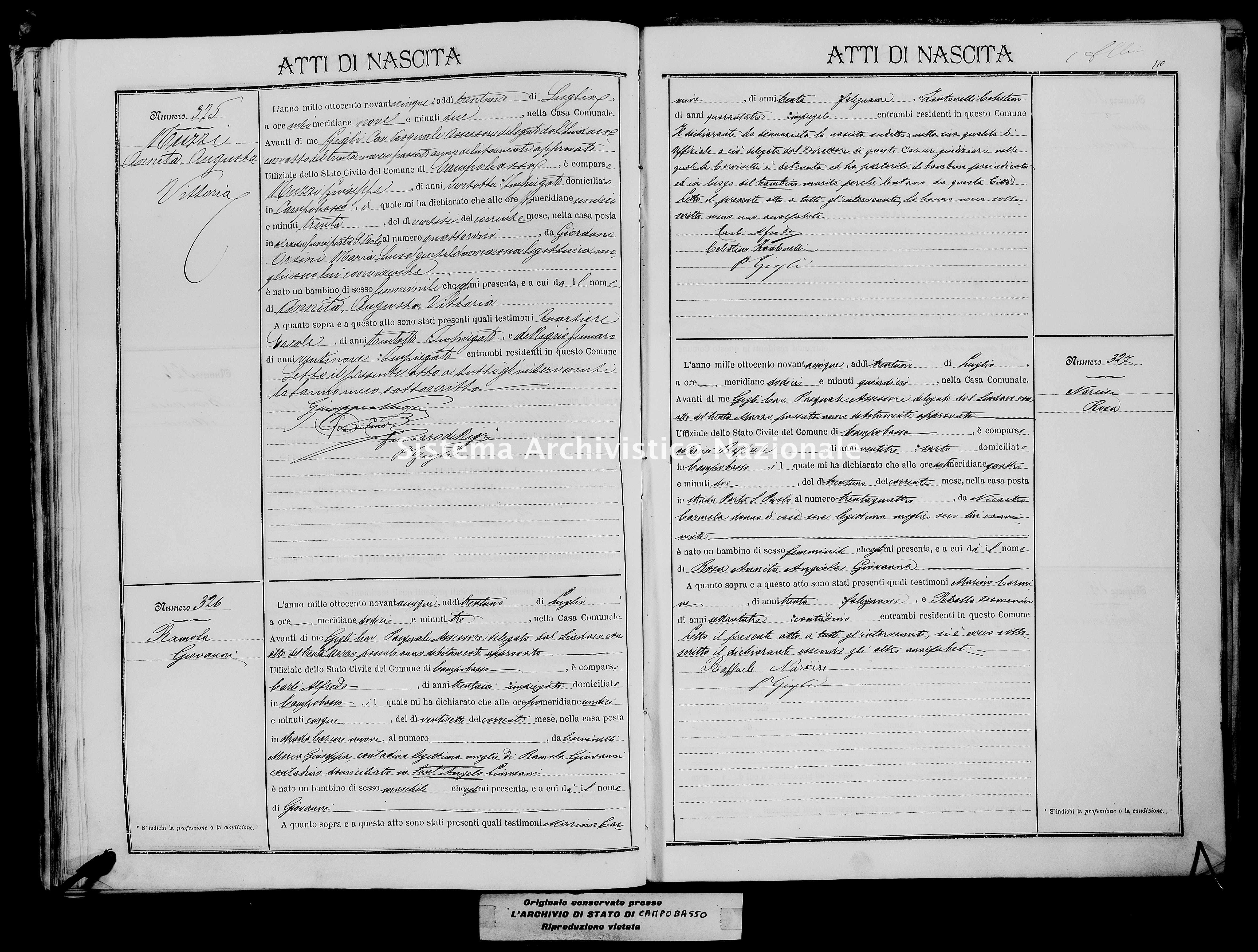 Archivio di stato di Campobasso - Stato civile italiano - Campobasso - Nati - 1895 -