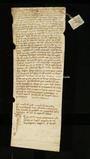 Archivio di Stato di Firenze, Diplomatico, 1220 Settembre 14, Olivetani di Arezzo