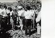 Archivio di Stato di Bergamo, Ispettorato provinciale dellalimentazione, Ispettorato provinciale dellagricoltura, Schedario fotografico dellex Servizio provinciale Foreste e Alimentazione (1961/1983),2: Gite distruzione, ---, 2_2-001