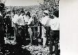 Archivio di Stato di Bergamo, Ispettorato provinciale dellalimentazione, Ispettorato provinciale dellagricoltura, Schedario fotografico dellex Servizio provinciale Foreste e Alimentazione (1961/1983),2: Gite distruzione, ---, 2_2-002