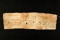 Archivio di Stato di Alessandria, Pergamene di Santa Eufemia di Tortona, monastero, pergamena 047