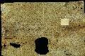 Archivio di Stato di Palermo, Diplomatico, Tabulario dei monasteri di Santa Maria Maddalena di Valle Giosafat e di San Placido di Calonerò, Pergamena TSMG 0637